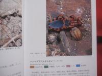 沖縄昆虫野外観察図鑑  　　第３巻　　  半翅目  　　双翅目 　 　膜翅目 　 　脈翅目    　　編著 　東  清二　　　　共著   　  堀  繁久  　   金城  政勝  　   湊  和雄    　 村山  望 　    上杉  兼司　　　　沖縄出版　　発行　　　　         【沖縄・琉球・自然・生物・昆虫】