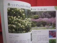 沖縄の野山を楽しむ　　　　植物の本　　　　おきなわフィールドブック　　１  　　　　　屋比久壮実　著　　　　アクアコーラル企画　発行　　　　　　　　　　 【沖縄・琉球・自然・野草・植物】