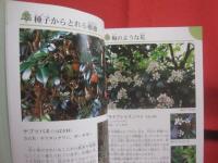 沖縄の野山を楽しむ　　　　植物の本　　　　おきなわフィールドブック　　１  　　　　　屋比久壮実　著　　　　アクアコーラル企画　発行　　　　　　　　　　 【沖縄・琉球・自然・野草・植物】