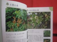 沖縄の野山を楽しむ　　　　植物の本　　　　おきなわフィールドブック　　１  　　　　　屋比久壮実　著　　　　アクアコーラル企画　発行　　　　　　　　　　 【沖縄・琉球・自然・野草・植物】