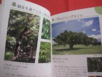 沖縄の野山を楽しむ　　　　植物の本　　　　おきなわフィールドブック　　１  　　　　　屋比久壮実　著　　　　アクアコーラル企画　発行　　　　　　　　　　 【沖縄・琉球・自然・野草・植物】