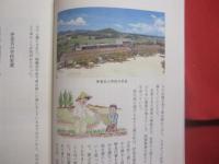 伊是名島カメスケヤー  　　  百年のあゆみ   　　 伊礼正哲　  著  　　  私家版   　　　　   【沖縄・琉球・歴史・文化・人物・離島・第１５代伊是名村長】