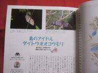 コーラルウェイ     　  特集 ： 猫のダヤン 　南大東島に上陸！ 　      ＪＴＡ （ 日本トランスオーシャン航空機内誌 ）   　  ２０１７年１１/１２月号  　    Ｎｏ ． １７３　     新北風号 （ ミーニシ ）号  　             【沖縄・琉球・歴史・伝統・工芸・染織・文化・自然・離島】