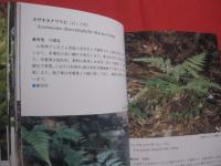 沖縄植物野外活用図鑑    　　第７巻　　    シダ植物　 ～ 　まめ科 　　   監修　  多和田真淳　　    池原直樹　  著  　　  新星図書　  発行  　　　　   【沖縄・琉球・自然・生物・野草】