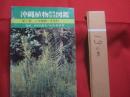 ☆沖縄植物野外活用図鑑    　　第７巻　　    シダ植物　 ～ 　まめ科 　　   監修　  多和田真淳　　    池原直樹　  著  　　  新星図書　  発行  　　　　   【沖縄・琉球・自然・生物・野草】