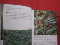 ☆沖縄植物野外活用図鑑    　　第７巻　　    シダ植物　 ～ 　まめ科 　　   監修　  多和田真淳　　    池原直樹　  著  　　  新星図書　  発行  　　　　   【沖縄・琉球・自然・生物・野草】