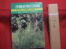 ★沖縄植物野外活用図鑑    　　第７巻　　    シダ植物　 ～ 　まめ科 　　   監修　  多和田真淳　　    池原直樹　  著  　　  新星図書　  発行  　　　　   【沖縄・琉球・自然・生物・野草】