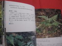 ★沖縄植物野外活用図鑑    　　第７巻　　    シダ植物　 ～ 　まめ科 　　   監修　  多和田真淳　　    池原直樹　  著  　　  新星図書　  発行  　　　　   【沖縄・琉球・自然・生物・野草】