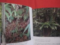 ★沖縄植物野外活用図鑑    　　第７巻　　    シダ植物　 ～ 　まめ科 　　   監修　  多和田真淳　　    池原直樹　  著  　　  新星図書　  発行  　　　　   【沖縄・琉球・自然・生物・野草】