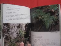 ★沖縄植物野外活用図鑑    　　第７巻　　    シダ植物　 ～ 　まめ科 　　   監修　  多和田真淳　　    池原直樹　  著  　　  新星図書　  発行  　　　　   【沖縄・琉球・自然・生物・野草】