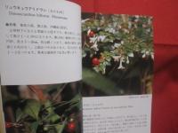沖縄植物野外活用図鑑 　        第９巻 　        あかね科  ～  らん科       　  監修    多和田真淳         池原直樹    著     　    新星図書    発行        　     【沖縄・琉球・自然・生物・野草】