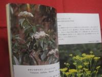 沖縄植物野外活用図鑑 　        第９巻 　        あかね科  ～  らん科       　  監修    多和田真淳         池原直樹    著     　    新星図書    発行        　     【沖縄・琉球・自然・生物・野草】