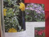 沖縄植物野外活用図鑑 　        第９巻 　        あかね科  ～  らん科       　  監修    多和田真淳         池原直樹    著     　    新星図書    発行        　     【沖縄・琉球・自然・生物・野草】