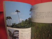 沖縄植物野外活用図鑑 　        第９巻 　        あかね科  ～  らん科       　  監修    多和田真淳         池原直樹    著     　    新星図書    発行        　     【沖縄・琉球・自然・生物・野草】