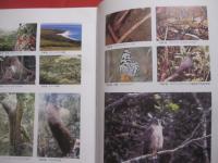 石垣島  　　  故郷安良の原風景   　　 その歴史と自然   　　 編集  　石垣市総務部市史編集室 　　   石垣市　  発行　　　　     【沖縄・琉球・歴史・文化・離島・先島諸島】