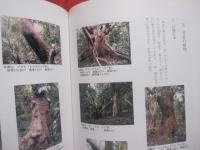 石垣島  　　  故郷安良の原風景   　　 その歴史と自然   　　 編集  　石垣市総務部市史編集室 　　   石垣市　  発行　　　　     【沖縄・琉球・歴史・文化・離島・先島諸島】