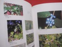 石垣島  　　  故郷安良の原風景   　　 その歴史と自然   　　 編集  　石垣市総務部市史編集室 　　   石垣市　  発行　　　　     【沖縄・琉球・歴史・文化・離島・先島諸島】