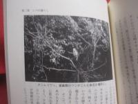 ☆八重山ネイチャーライフ  　　    シマの暮らしと生き物たち      　　 深石隆司   　著    　　ボーダーインク  　発行  　　　　        【沖縄・琉球・自然・生物・離島・先島諸島】