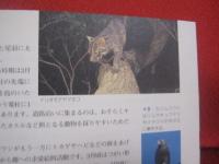 西表島エコツーリズム ・ ガイドブック    　　    ヤマナ ・ カーラ ・ スナ ・ ピトゥ　    （ ヤマ ・ カワ ・ ウミ ・ ヒト ）  　　         【沖縄・琉球・自然・動物・植物】