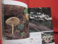 続 　北海道のキノコ  　　 ＣＯＮＴＩＮＵＥ  　ＦＵＮＧＩ 　 ＯＦ 　 ＨＯＫＫＡＩＤＯ   　　 五十嵐恒夫　 著        　　    【自然・菌類・菌糸】