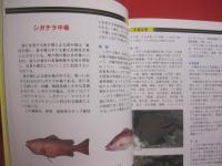 ダイビングポイントマップ　  沖縄　　    ―  危険生物編  ― 　　   悦  秀満 　著　　　　沖縄マリン出版　  発行            　　     【沖縄・琉球・自然・海洋・アウトドア・マリンスポーツ】