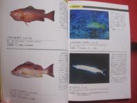 ダイビングポイントマップ　  沖縄　　    ―  危険生物編  ― 　　   悦  秀満 　著　　　　沖縄マリン出版　  発行            　　     【沖縄・琉球・自然・海洋・アウトドア・マリンスポーツ】