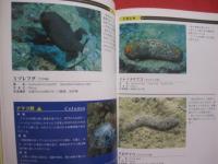 ダイビングポイントマップ　  沖縄　　    ―  危険生物編  ― 　　   悦  秀満 　著　　　　沖縄マリン出版　  発行            　　     【沖縄・琉球・自然・海洋・アウトドア・マリンスポーツ】
