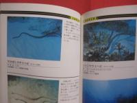 ダイビングポイントマップ　  沖縄　　    ―  危険生物編  ― 　　   悦  秀満 　著　　　　沖縄マリン出版　  発行            　　     【沖縄・琉球・自然・海洋・アウトドア・マリンスポーツ】