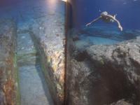 ジャック・マイヨール   　　 海の人々からの遺産 　　   翔泳社 　 発行    　　　　   【バハマ諸島・沖縄県与那国島・マルケサス諸島・ダイビング】