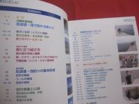 沖縄本島の防波堤・筏釣り   　　 釣りに行こう！   　　 マリンアイランズ社　  発行 　　　　     【沖縄・琉球・趣味・魚・フィッシング・海洋レジャー】