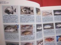 沖縄本島の防波堤・筏釣り   　　 釣りに行こう！   　　 マリンアイランズ社　  発行 　　　　     【沖縄・琉球・趣味・魚・フィッシング・海洋レジャー】