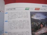 沖縄本島の防波堤・筏釣り   　　 釣りに行こう！   　　 マリンアイランズ社　  発行 　　　　     【沖縄・琉球・趣味・魚・フィッシング・海洋レジャー】