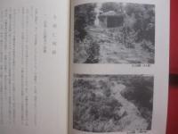 沖縄の城跡　　    著者・発行人  　新城徳祐 　　   私家版 　　　　          【沖縄・琉球・歴史・文化・遺跡・グスク・築城・古城・世界遺産】