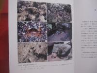 沖縄県史  　　    資料編  １３   　　     自然環境  １      　　  硫黄鳥島     　　      【沖縄・琉球・歴史・文化・離島・沖縄県島尻郡久米島町・無人島・沖縄最北端の島】