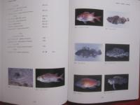 沖縄県史  　　    資料編  １３   　　     自然環境  １      　　  硫黄鳥島     　　      【沖縄・琉球・歴史・文化・離島・沖縄県島尻郡久米島町・無人島・沖縄最北端の島】