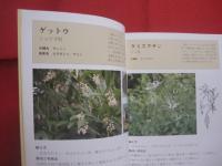 薬草と漢方のすすめ 　　   改訂  　　  吉川敏男　  著 　　   ニライ社　  発行     　        【沖縄・琉球・歴史・文化・自然・植物・健康・薬効・知識】