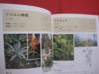 薬草と漢方のすすめ 　　   改訂  　　  吉川敏男　  著 　　   ニライ社　  発行     　        【沖縄・琉球・歴史・文化・自然・植物・健康・薬効・知識】