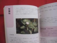 薬草と漢方のすすめ 　　   改訂  　　  吉川敏男　  著 　　   ニライ社　  発行     　        【沖縄・琉球・歴史・文化・自然・植物・健康・薬効・知識】