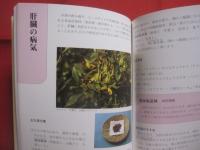 薬草と漢方のすすめ 　　   改訂  　　  吉川敏男　  著 　　   ニライ社　  発行     　        【沖縄・琉球・歴史・文化・自然・植物・健康・薬効・知識】