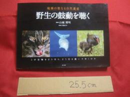 琉球の聖なる自然遺産      　   野生の鼓動を聴く      　   この宝物をどう守り 、 どう引き継いでゆくのか       　   山城博明     著        　高文研   発行  　              【沖縄・琉球・歴史・文化・自然・生物・動物・写真集】