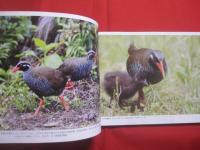 琉球の聖なる自然遺産      　   野生の鼓動を聴く      　   この宝物をどう守り 、 どう引き継いでゆくのか       　   山城博明     著        　高文研   発行  　              【沖縄・琉球・歴史・文化・自然・生物・動物・写真集】