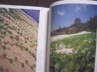 琉球パトローネ　　      仲程長治写真集        　　著作者  　 仲程長治       　　 編集工房　  東洋企画　   発行     　　       【沖縄・琉球・歴史・文化・写真集・自然・風景】