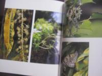 琉球パトローネ　　      仲程長治写真集        　　著作者  　 仲程長治       　　 編集工房　  東洋企画　   発行     　　       【沖縄・琉球・歴史・文化・写真集・自然・風景】