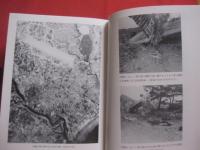 嘉手納町史　　    資料編 ５ 　　   戦時資料　 （ 上 ）  　　  嘉手納町教育委員会　  発行 　　　　      【沖縄・琉球・歴史・文化・沖縄戦・太平洋戦争】