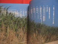 ☆島人魂　  （ しまんちゅだましい ） 　　   ～ 沖縄の空と海と音楽と ～    　　人気曲楽譜付き 　　　　       【沖縄・琉球・歴史・文化・島唄・沖縄ポップス】