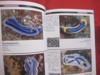 ウミウシガイドブック      　　沖縄・慶良間諸島の海から   　　   小野篤司 　  著    　　  ＴＢＳブリタニカ 　  発行      　　　　     【沖縄・琉球・自然・海洋生物・軟体動物】