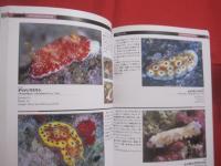 ★ウミウシガイドブック  　　      沖縄・慶良間諸島の海から     　　   小野篤司  　  著        ＴＢＳブリタニカ　    発行  　　            【沖縄・琉球・自然・海洋生物・軟体動物】