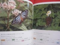 沖縄昆虫野外観察図鑑   　　 全４巻 　　   東  清二　 編著  　　  沖縄出版　 発行  　　  定価　 １８，０００円  　　　　     【沖縄・琉球・自然・生物】