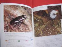 沖縄昆虫野外観察図鑑   　　 全４巻 　　   東  清二　 編著  　　  沖縄出版　 発行  　　  定価　 １８，０００円  　　　　     【沖縄・琉球・自然・生物】