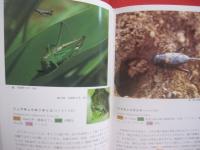 沖縄昆虫野外観察図鑑   　　 全４巻 　　   東  清二　 編著  　　  沖縄出版　 発行  　　  定価　 １８，０００円  　　　　     【沖縄・琉球・自然・生物】